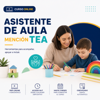CURSO ASISTENTE DE AULA MENCION TEA